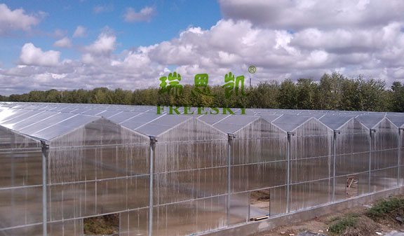 阳光板温室工程